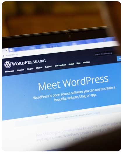 Brandup-Studio: Optimisation SEO pour les Sites WordPress