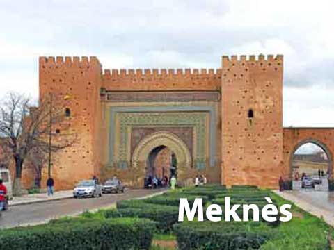 Création de site internet WordPress Meknès